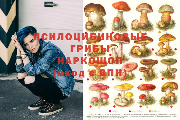 ГАЛЛЮЦИНОГЕННЫЕ ГРИБЫ Беломорск